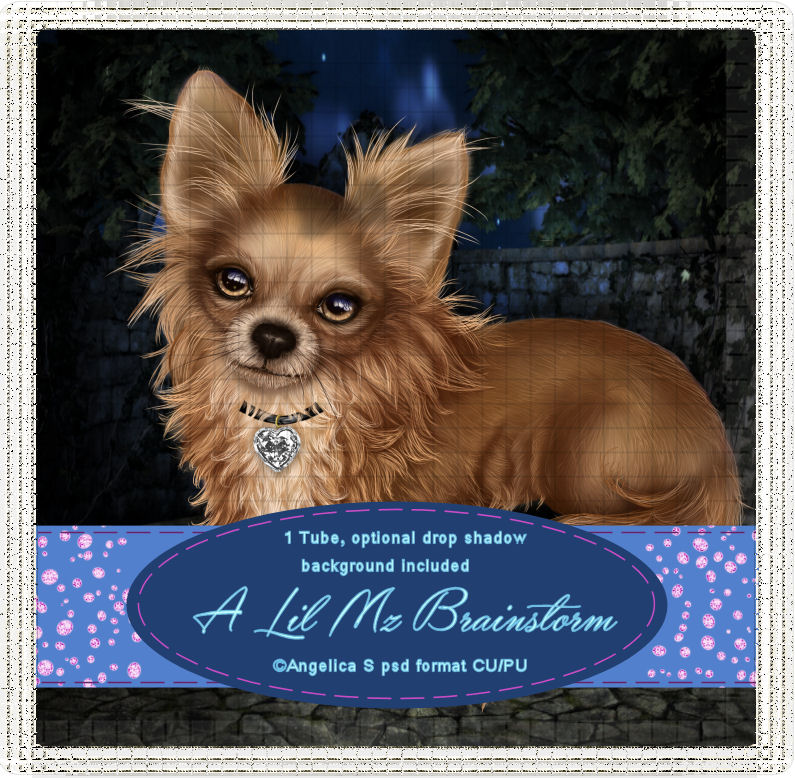 LMB Chihuahua Brown CU - Click Image to Close