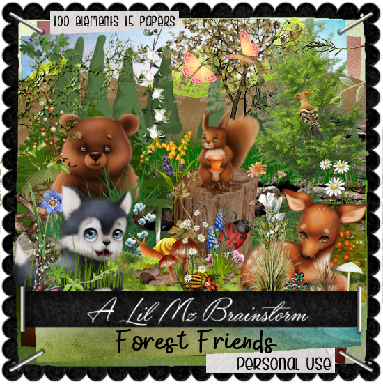 LMB Forest Friends PU